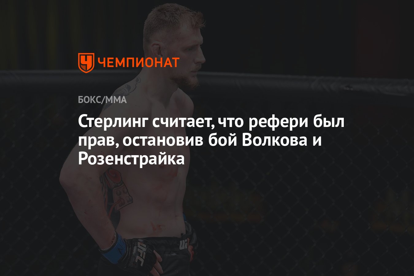 ������� + ����� ������: ����.