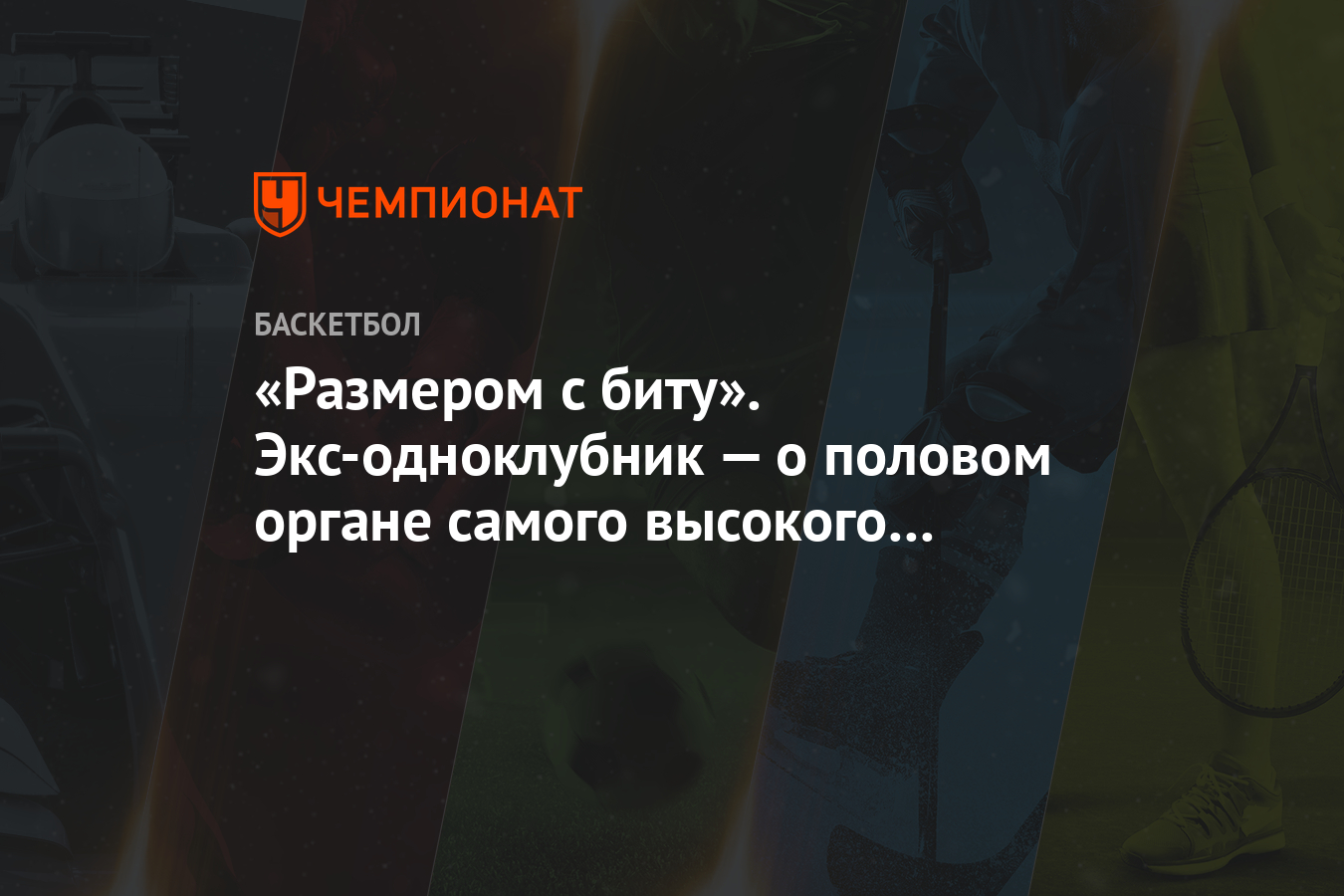 «Размером с биту». Экс-одноклубник — о половом органе самого высокого  игрока в истории НБА - Чемпионат