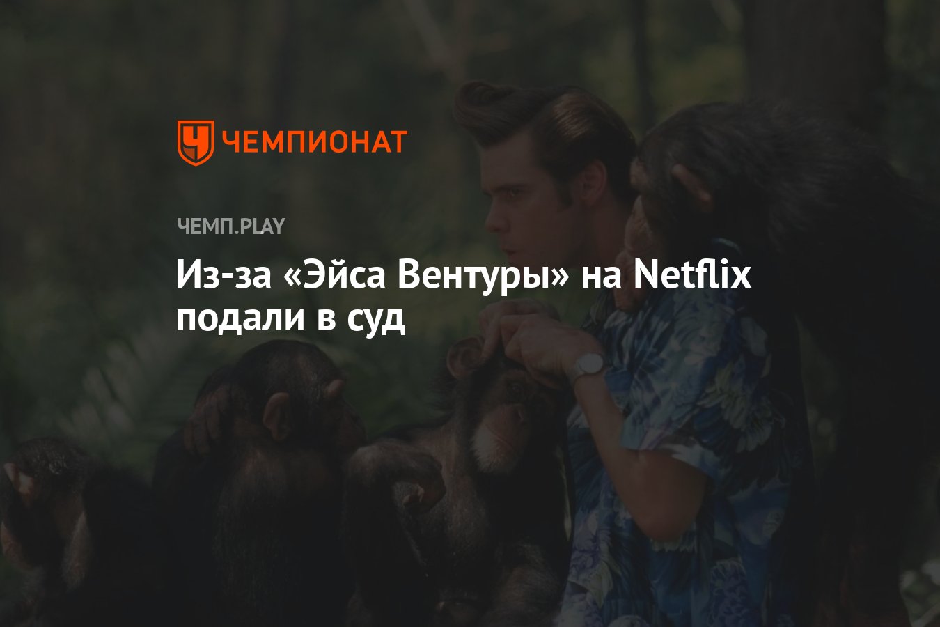 Из-за «Эйса Вентуры» на Netflix подали в суд - Чемпионат