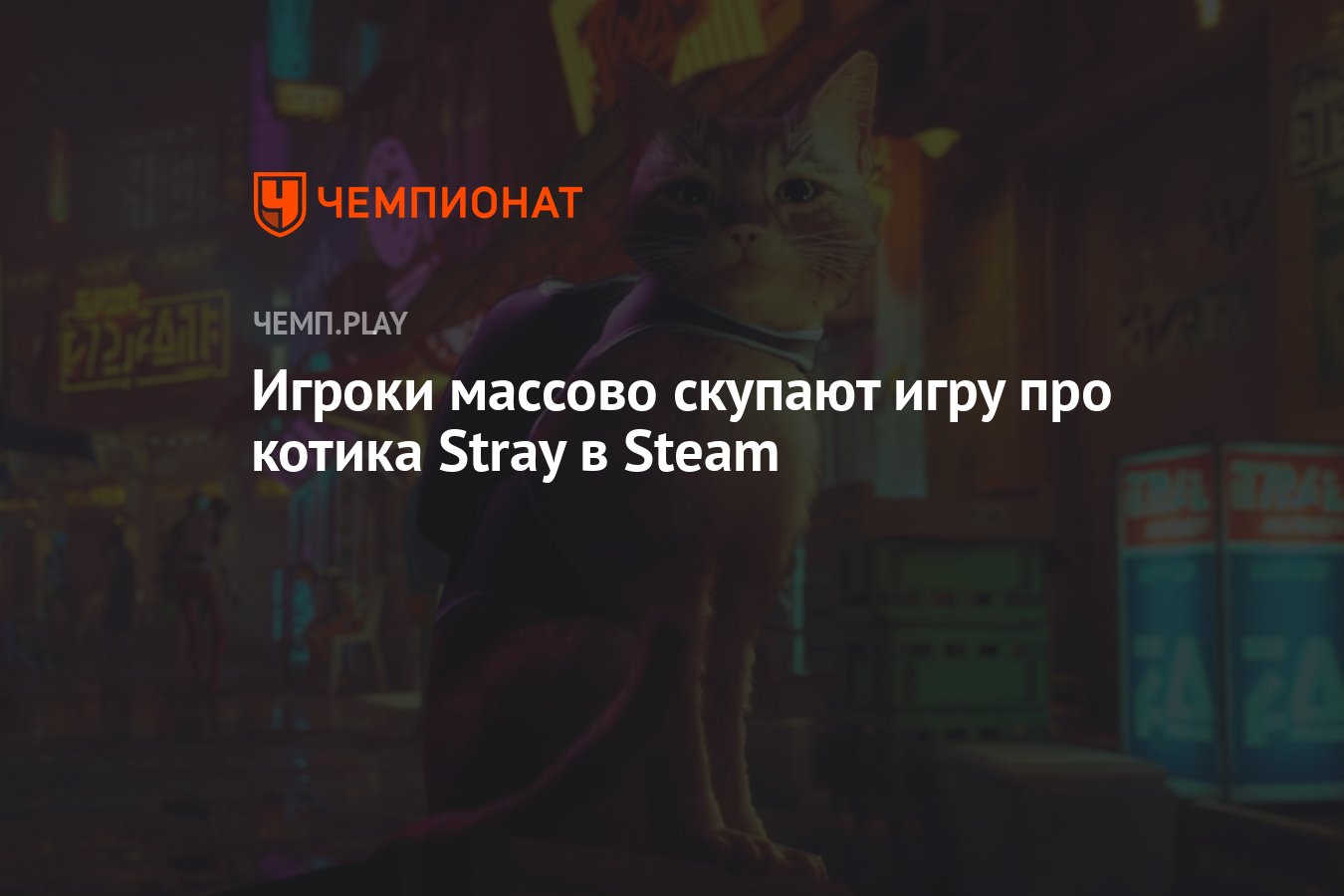 Игроки массово скупают игру про котика Stray в Steam - Чемпионат