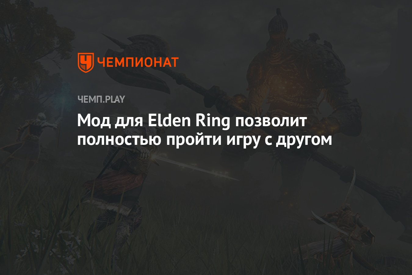 Elden ring мод на кооператив. Elden Ring полноценный кооператив мод. Карта elden Ring полная. Nuud Mod elden Ring. Полиция моды elden Ring.