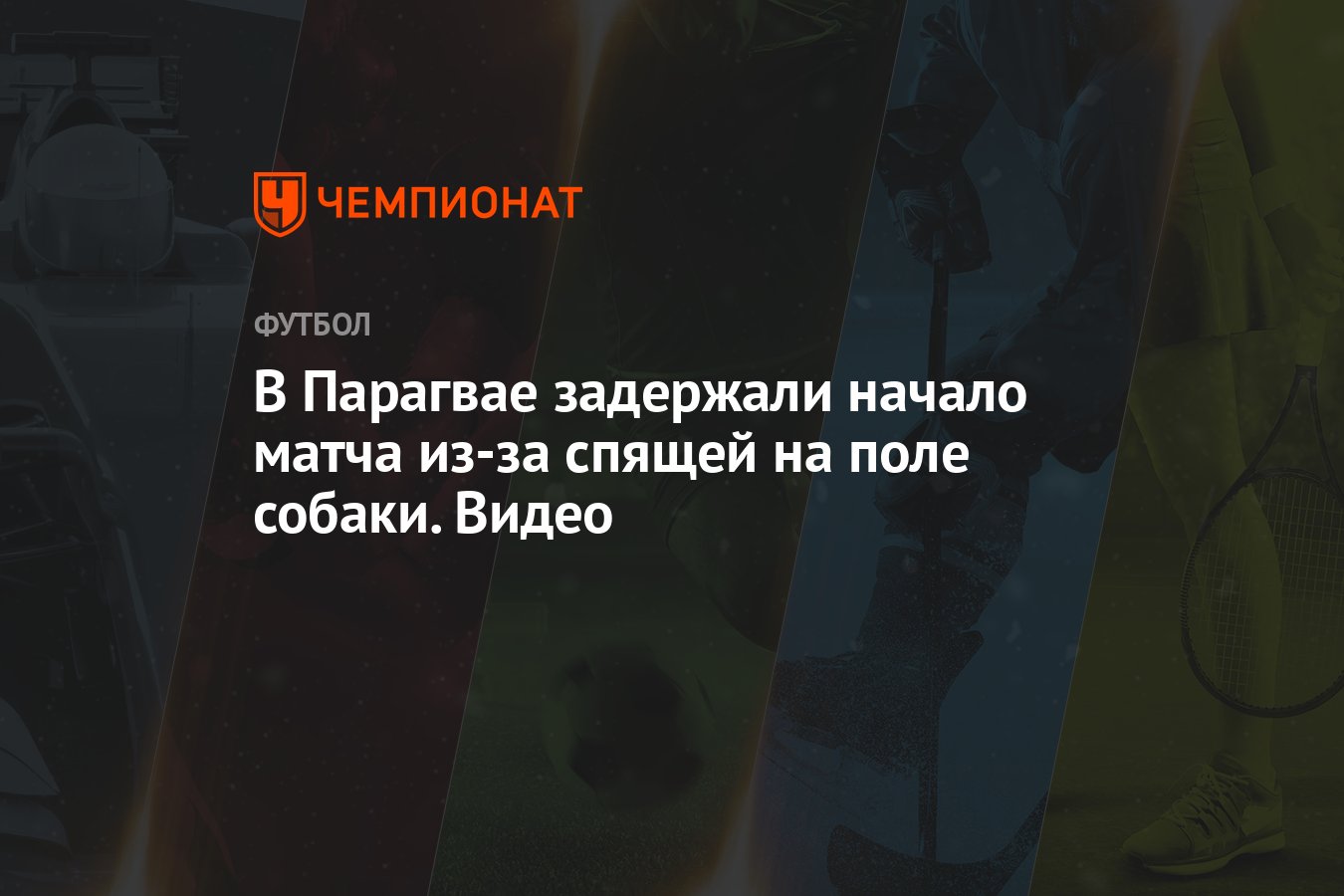 В Парагвае задержали начало матча из-за спящей на поле собаки. Видео