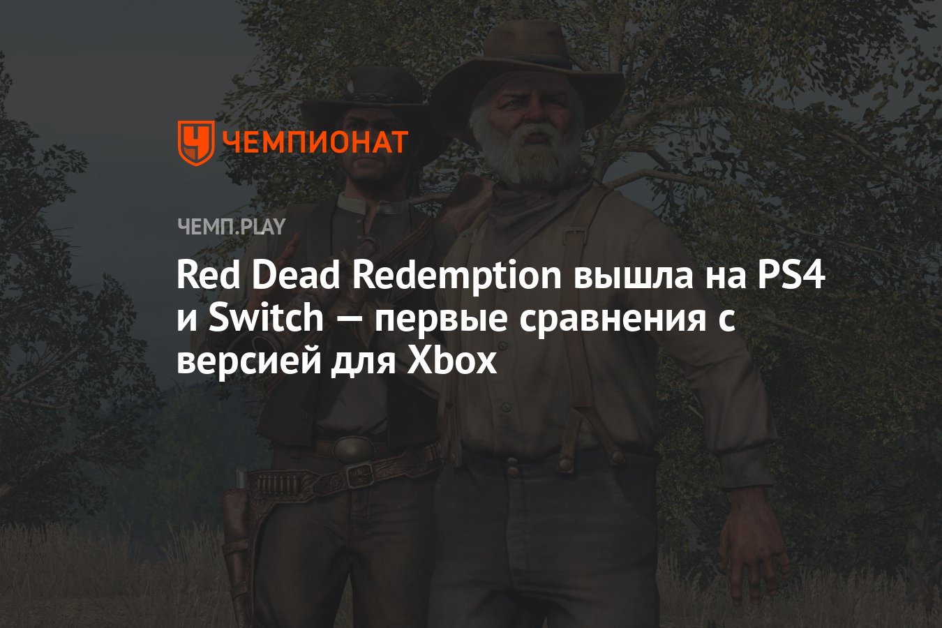 Red dead redemption выход в стиме фото 27