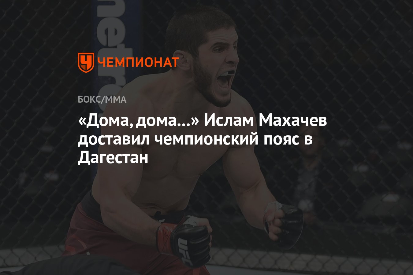 Дома, дома...» Ислам Махачев доставил чемпионский пояс в Дагестан -  Чемпионат