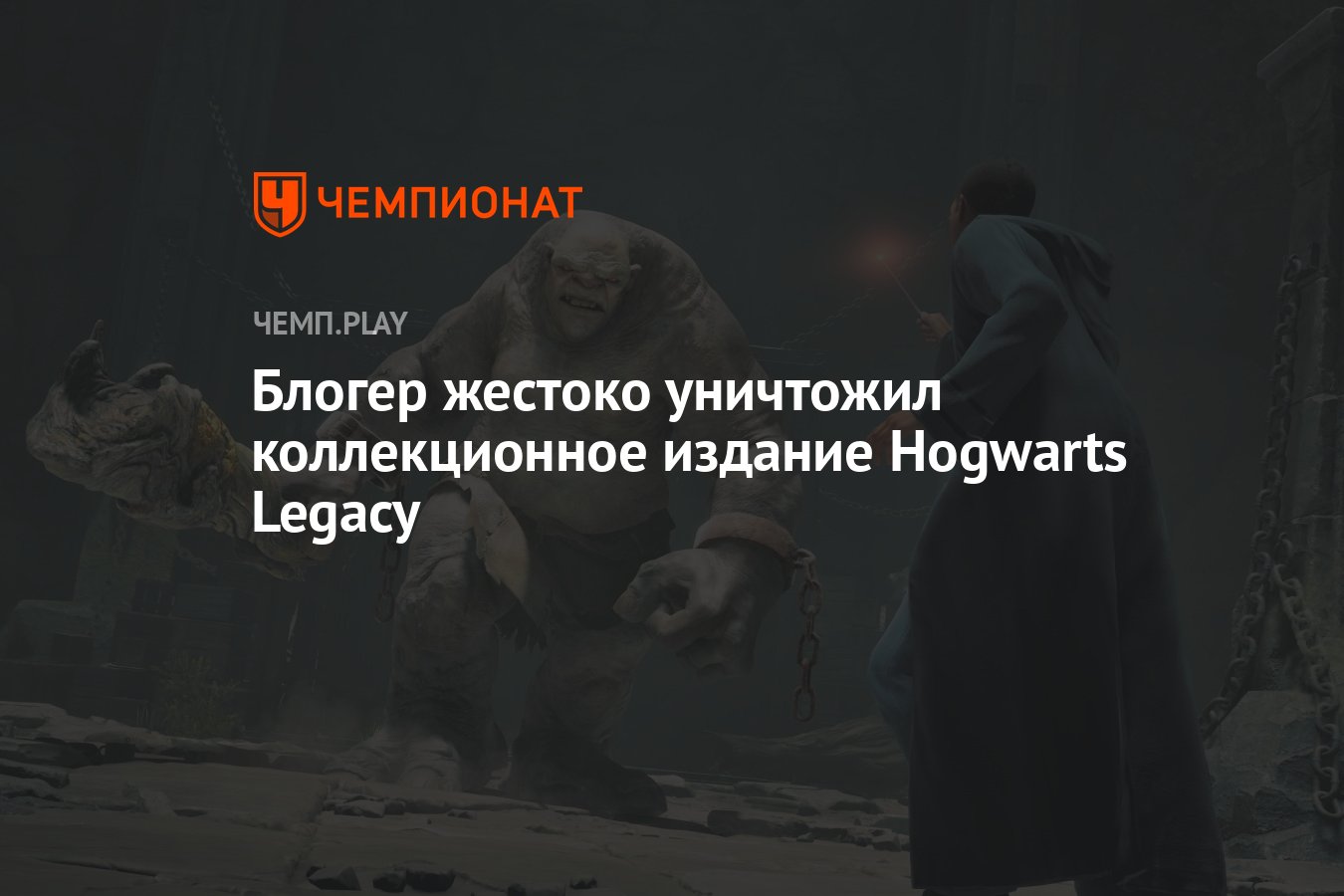 Hogwarts legacy коллекционное издание фото 21