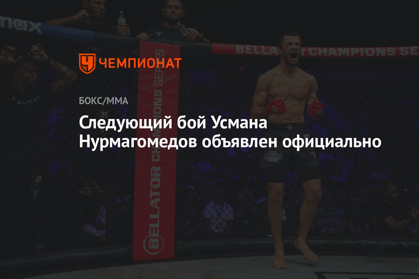 �������� ������ �����: ����.