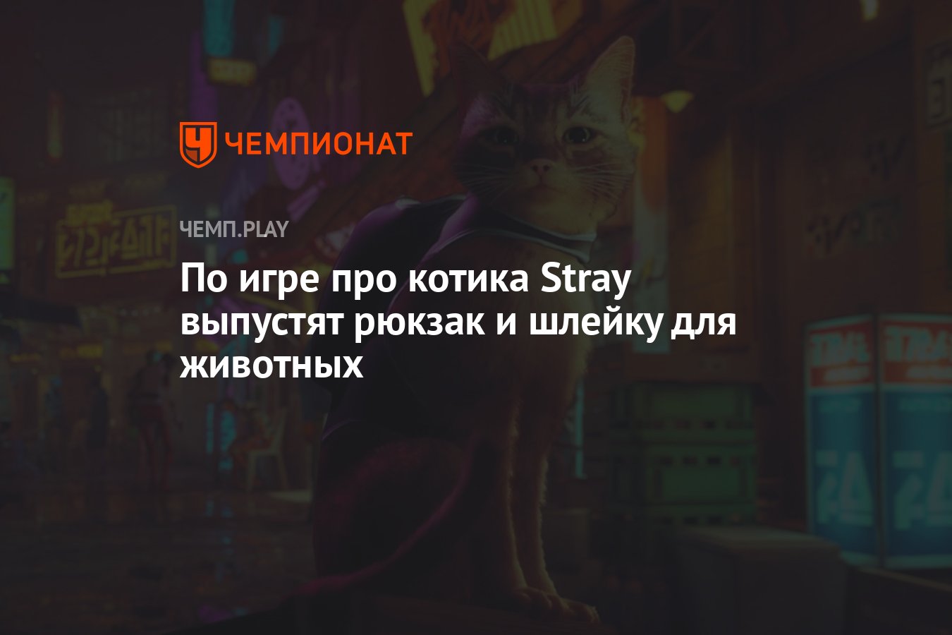 По игре про котика Stray выпустят рюкзак и шлейку для животных - Чемпионат