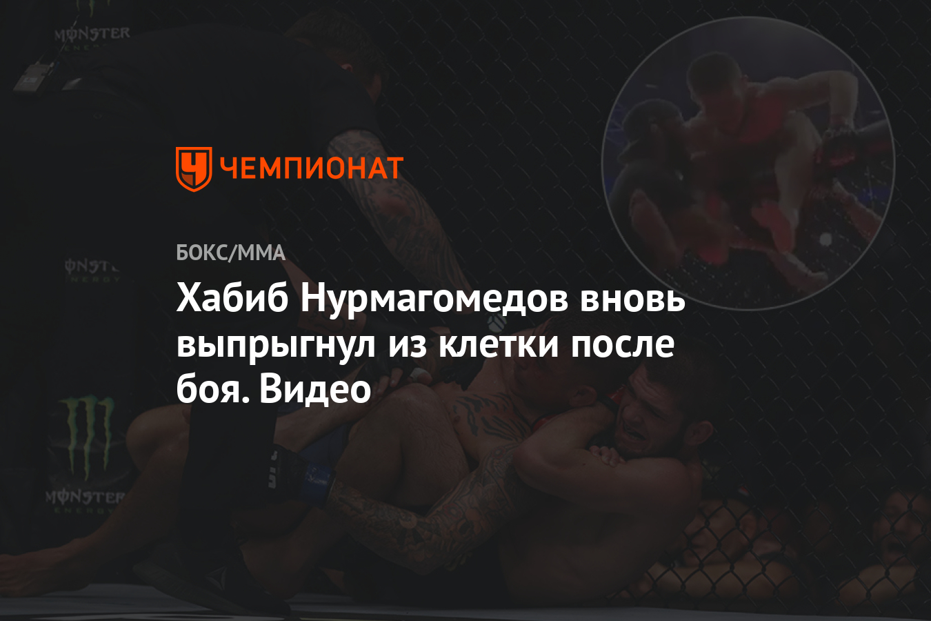 Секс способствует возникновению мозговых клеток