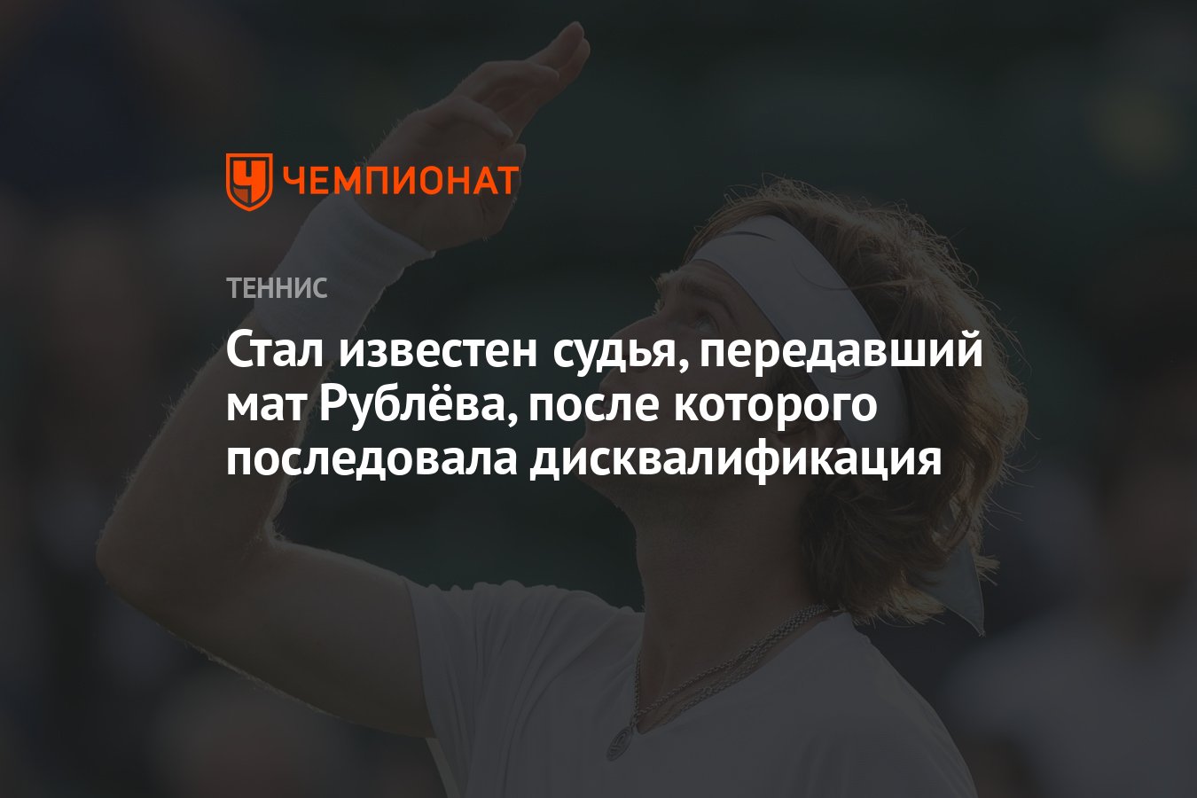 Стал известен судья, передавший мат Рублёва, после которого последовала  дисквалификация - Чемпионат