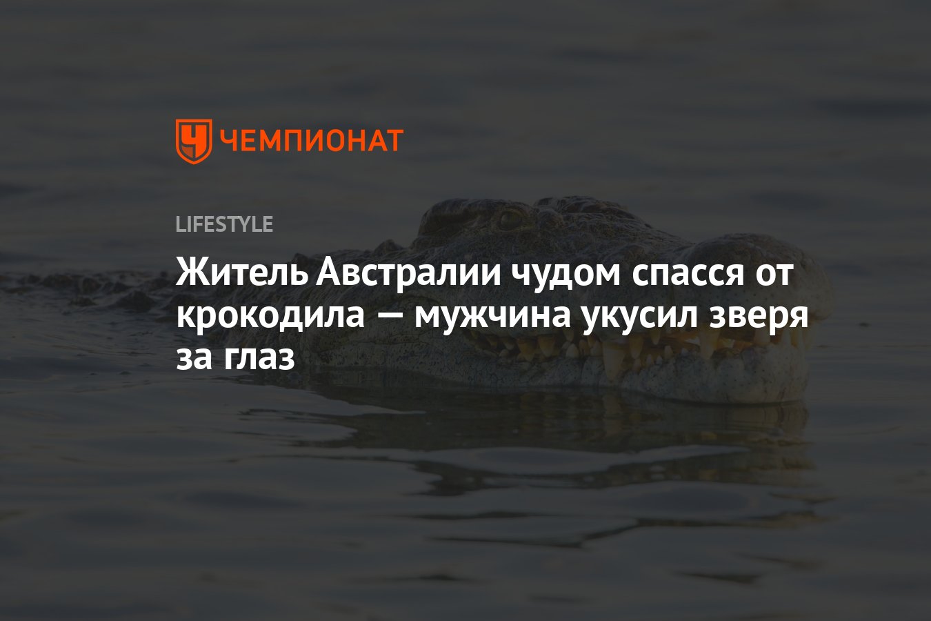 Австралиец чудом спасся от напавшего на него крокодила, укусив зверя за  глаз - Чемпионат