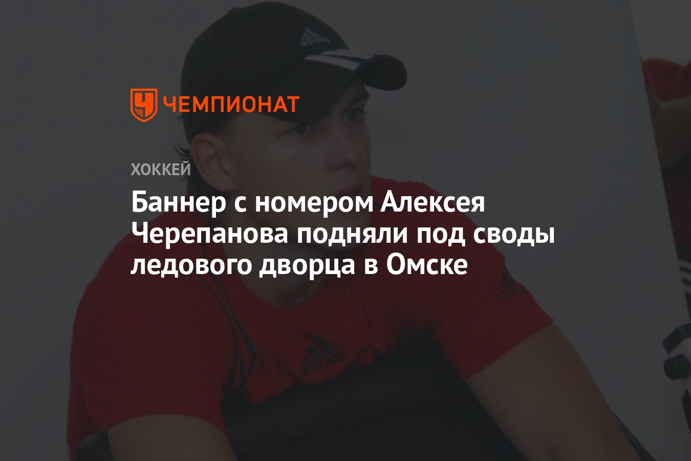 Баннер с номером Алексея Черепанова подняли под своды ледового дворца в  Омске - Чемпионат