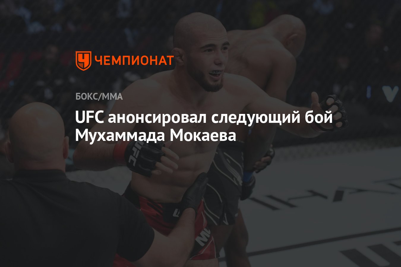 UFC анонсировал следующий бой Мухаммада Мокаева - Чемпионат