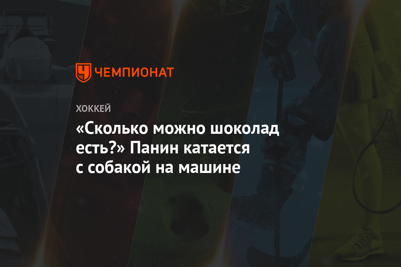 «Сколько можно шоколад есть?» Панин катается с собакой на машине