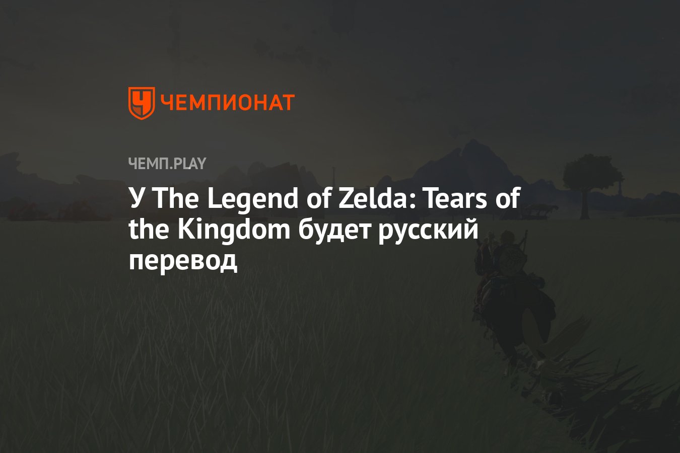 У The Legend of Zelda: Tears of the Kingdom будет русский перевод -  Чемпионат