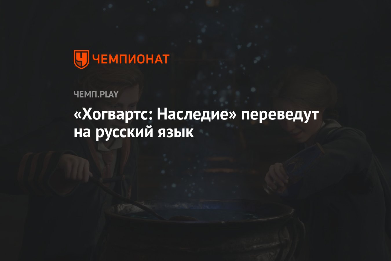 Hogwarts legacy русский язык фото 86