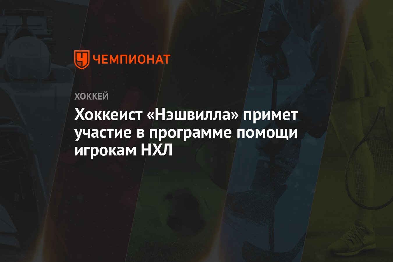 Что такое программа помощи игрокам нхл. Врана прошел программу помощи игрокам НХЛ.