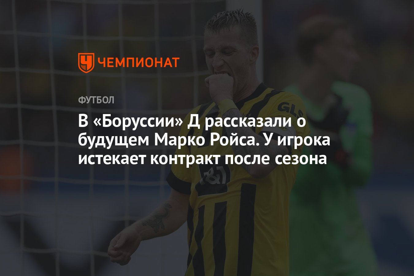 В «Боруссии» Д рассказали о будущем Марко Ройса. У игрока истекает контракт  после сезона - Чемпионат