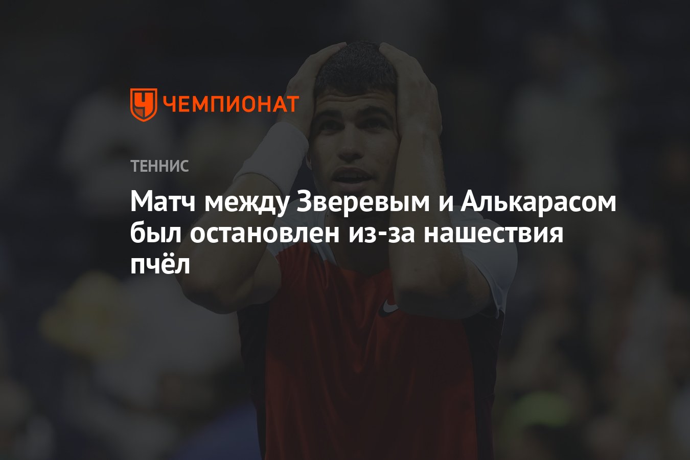 Матч между Зверевым и Алькарасом был остановлен из-за нашествия пчёл -  Чемпионат