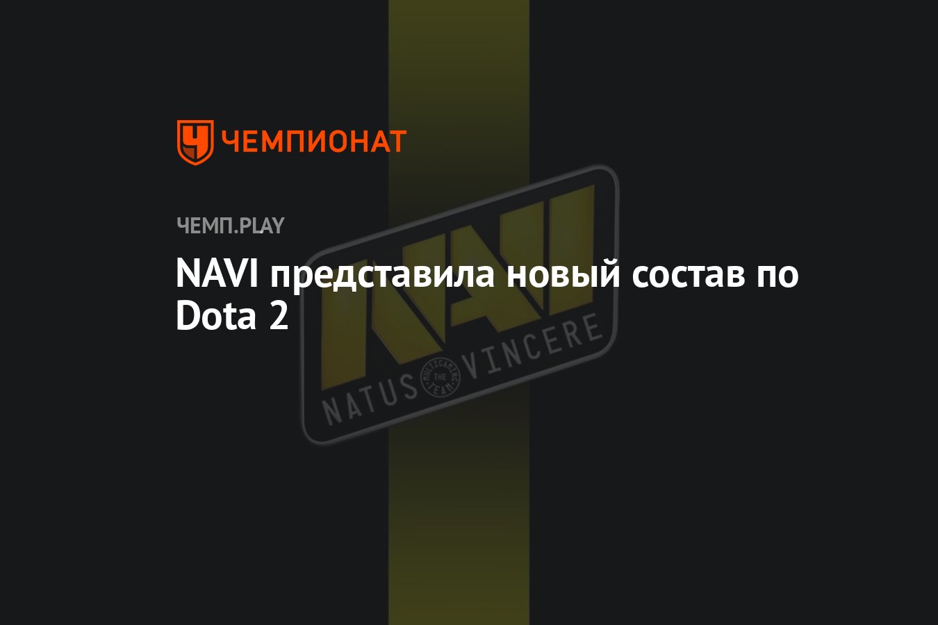 NAVI представила новый состав по Dota 2 - Чемпионат