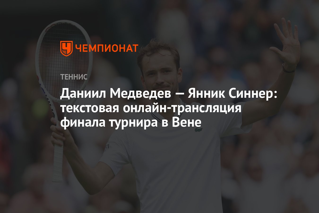 Даниил Медведев — Янник Синнер: текстовая онлайн-трансляция финала турнира  в Вене - Чемпионат