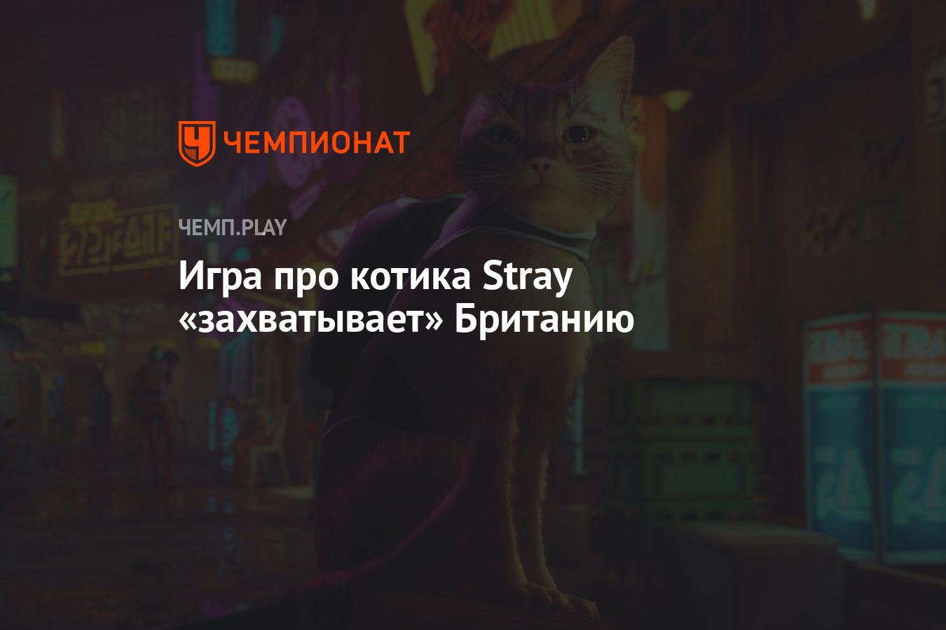 Игра про котика Stray «захватывает» Британию - Чемпионат