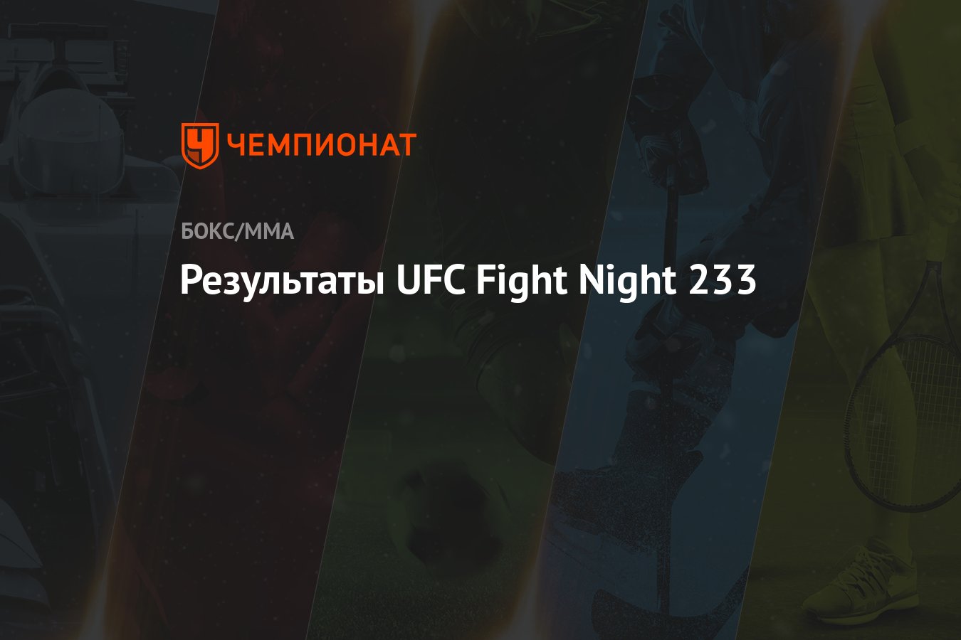 Результаты UFC Fight Night 233 - Чемпионат