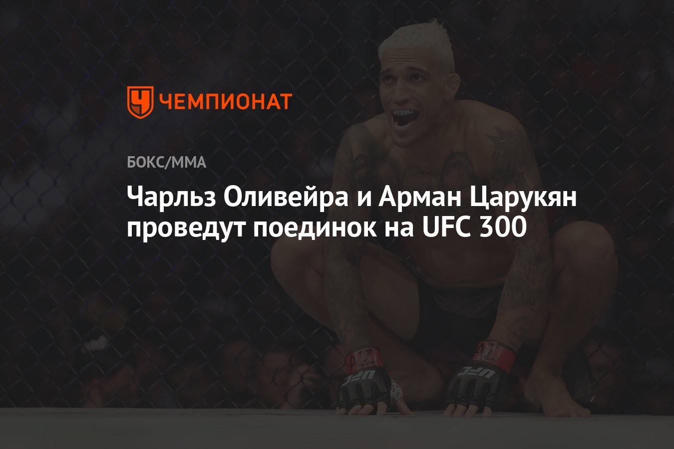 Соответствие между видами спорта