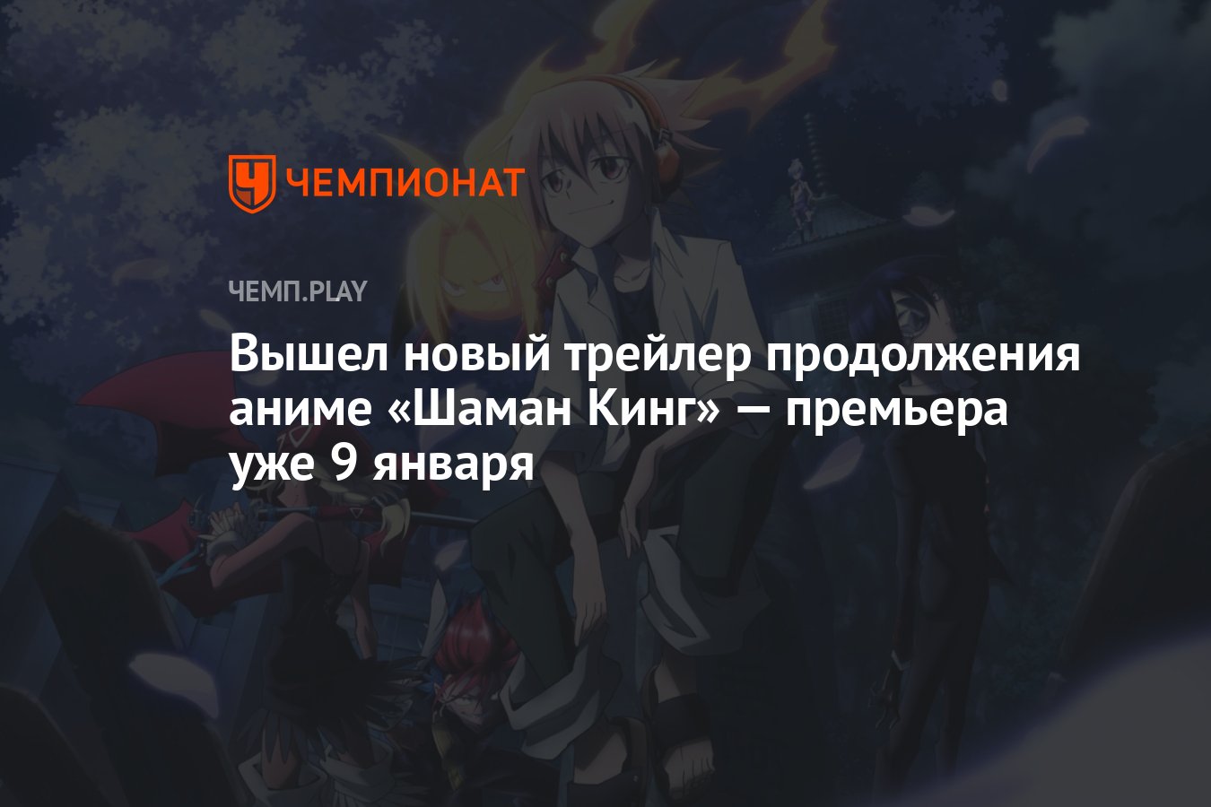 Shaman King () / Аниме