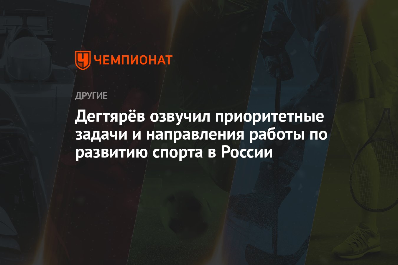 Дегтярёв озвучил приоритетные задачи и направления работы по развитию  спорта в России - Чемпионат