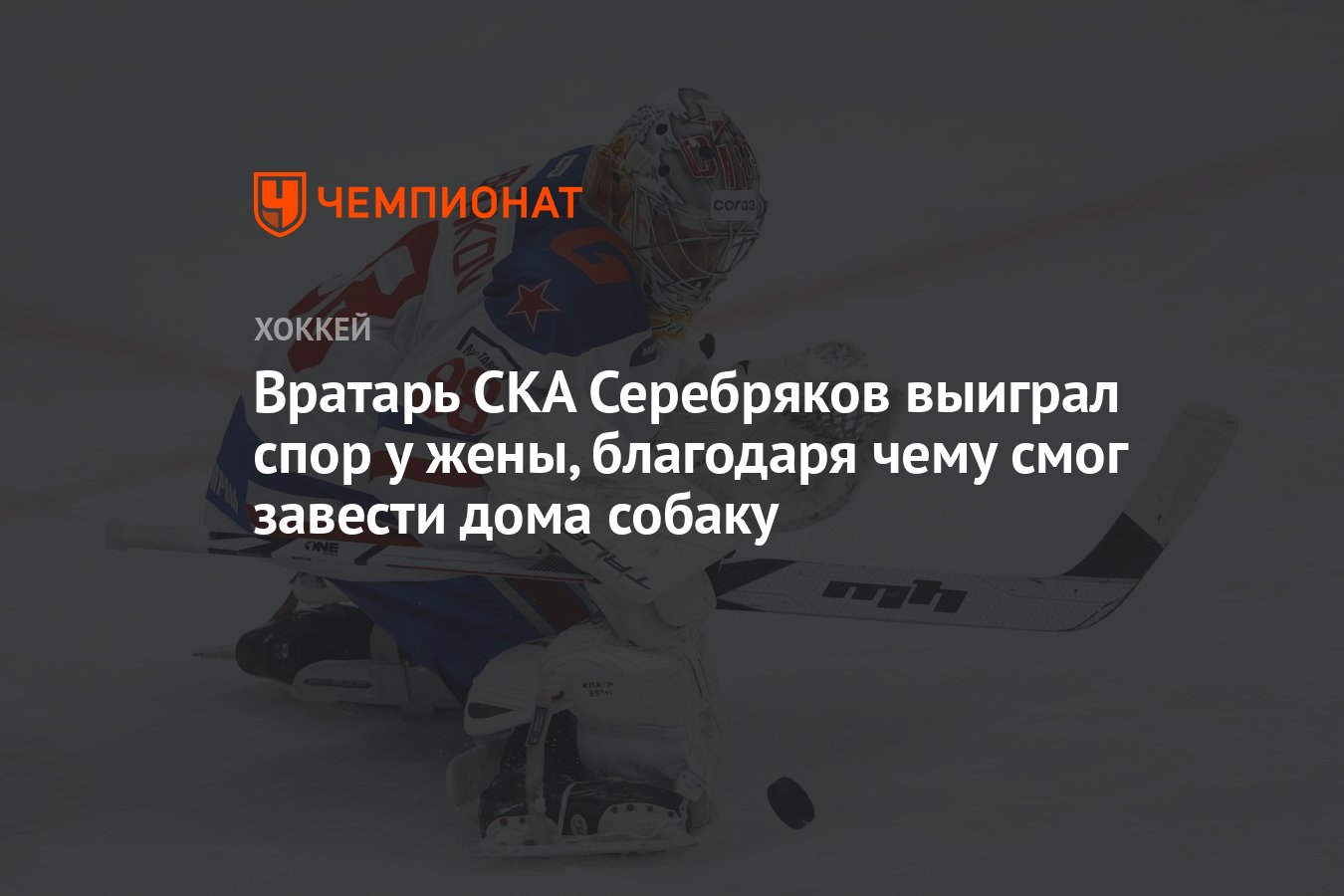 Вратарь СКА Серебряков выиграл спор у жены, благодаря чему смог завести дома  собаку - Чемпионат