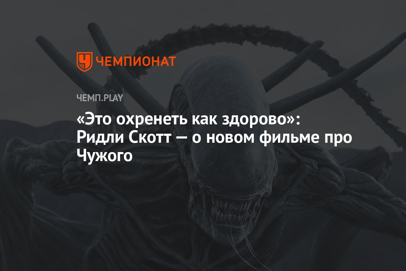 Это охренеть как здорово»: Ридли Скотт — о новом фильме про Чужого -  Чемпионат