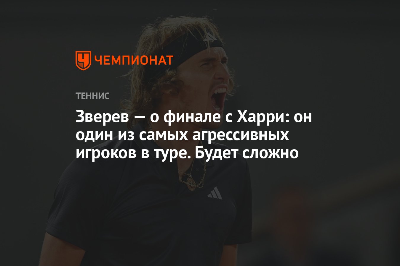 Зверев — о финале с Харри: он один из самых агрессивных игроков в туре.  Будет сложно - Чемпионат