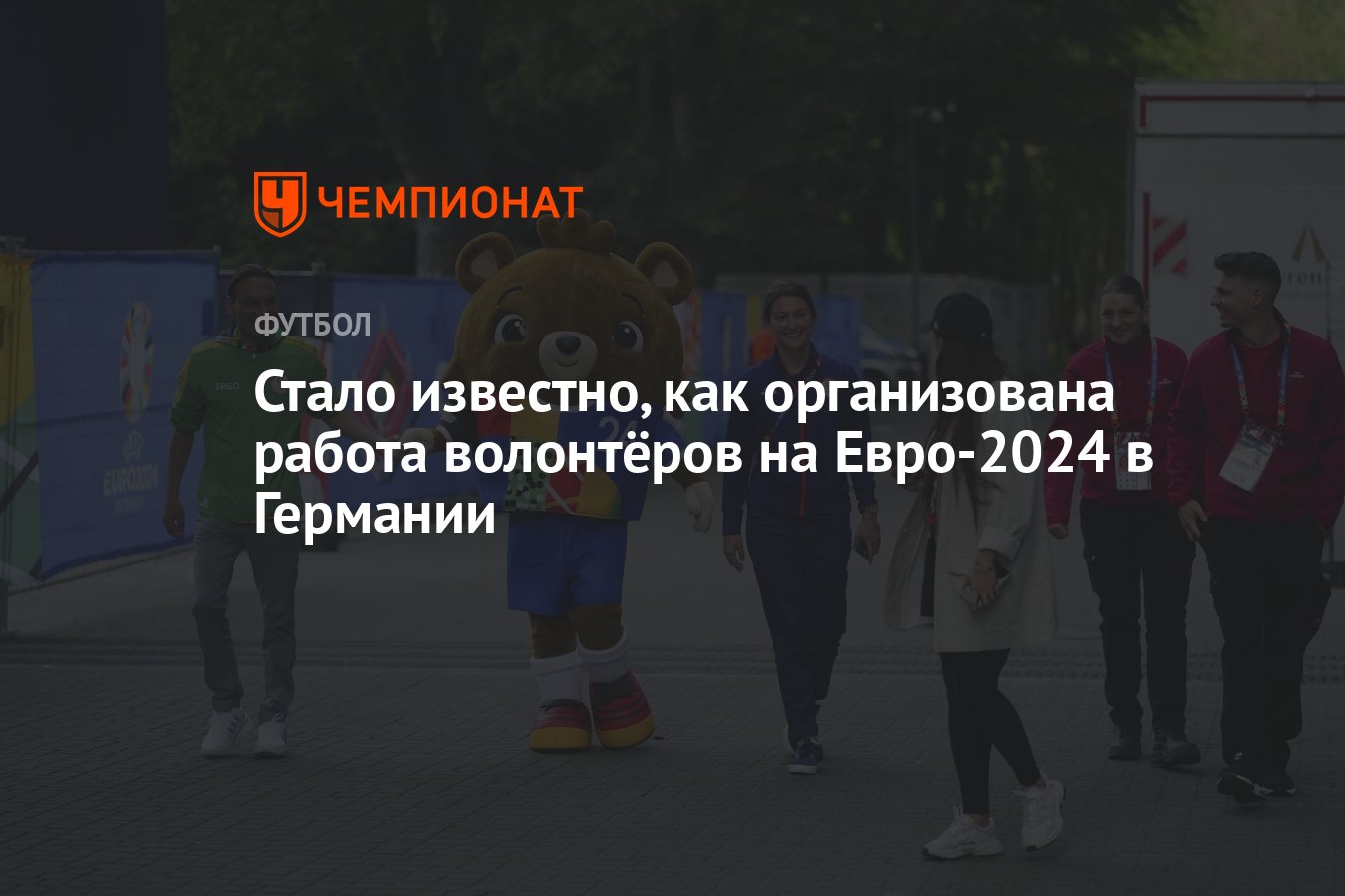 Стало известно, как организована работа волонтёров на Евро-2024 в Германии  - Чемпионат