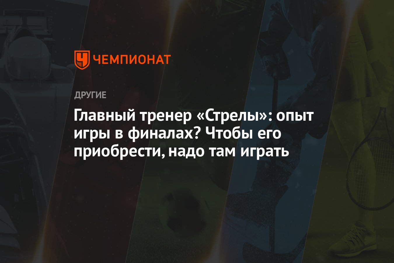 Главный тренер «Стрелы»: опыт игры в финалах? Чтобы его приобрести, надо  там играть - Чемпионат