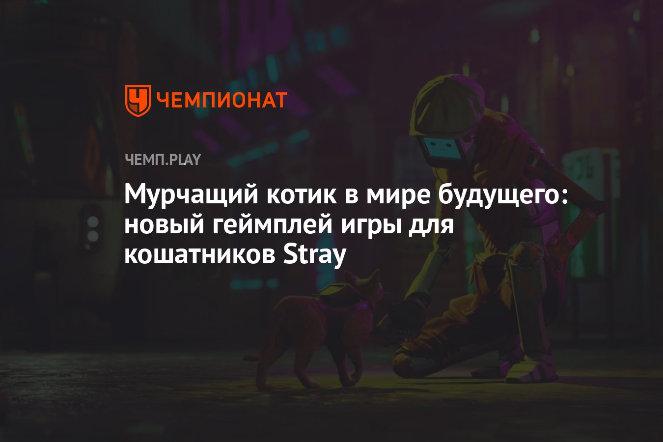 Мурчащий котик в мире будущего: новый геймплей игры для кошатников Stray -  Чемпионат