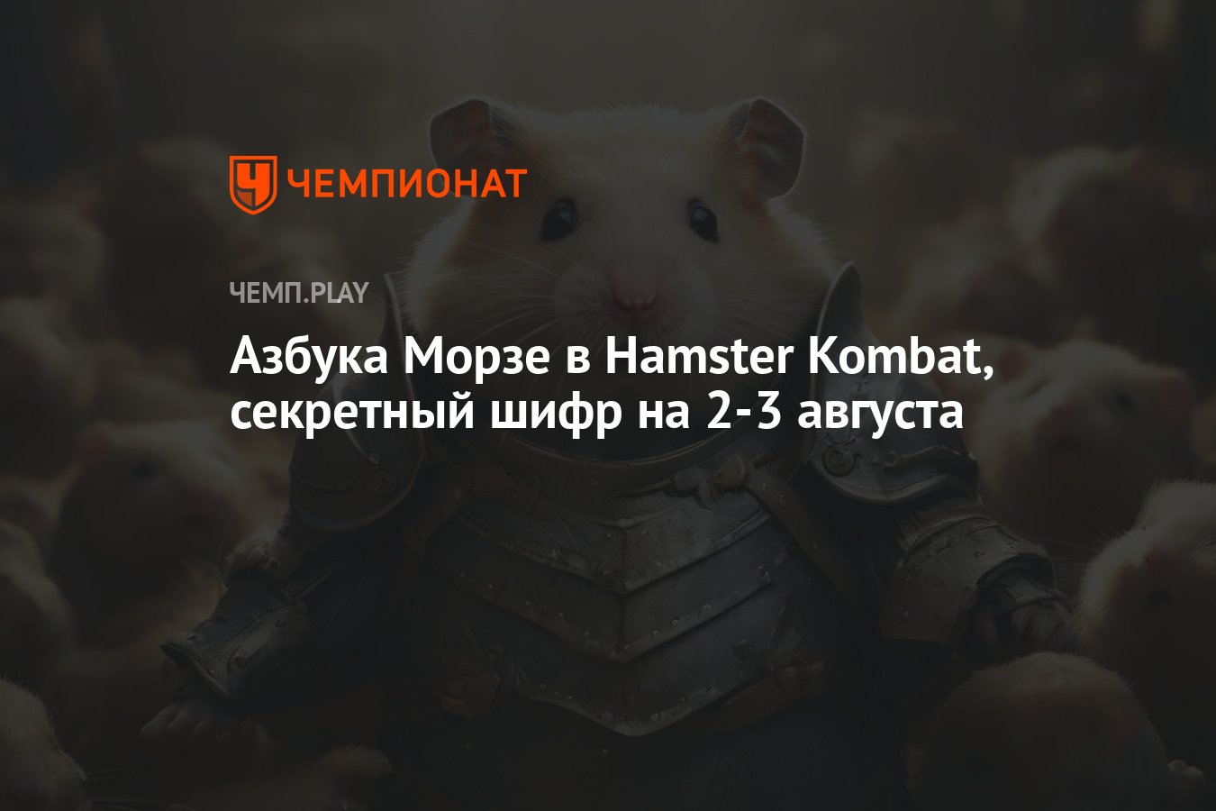 Какой шифр в хомяке 3 сентября. Какой шифр в хомяке 3 сентября