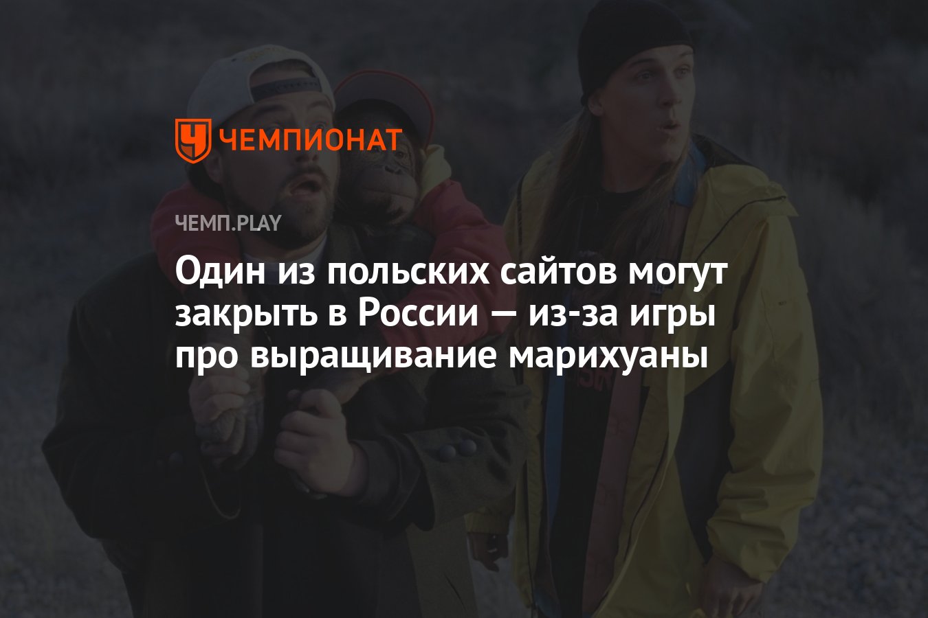 Один из польских сайтов могут закрыть в России — из-за игры про выращивание  марихуаны - Чемпионат