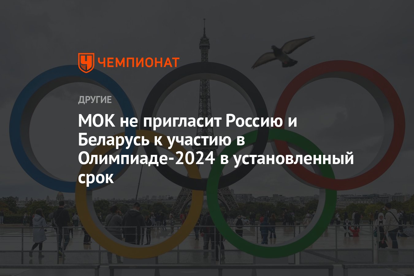 МОК не пригласит Россию и Беларусь к участию в Олимпиаде-2024 в  установленный срок - Чемпионат