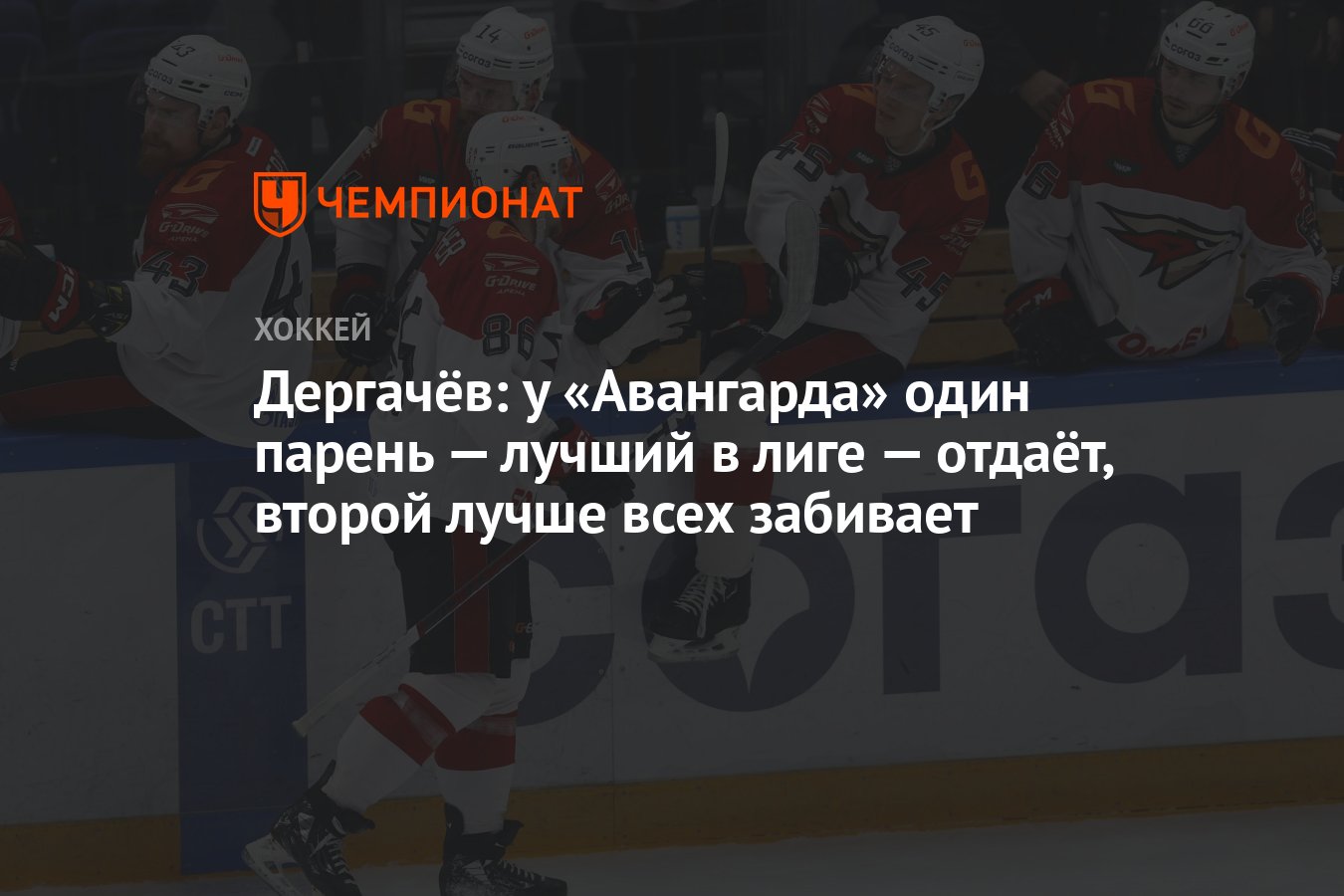 Парень присмотрел за собакой девушки, но один случай с питомцем развеселил всех (Фото)