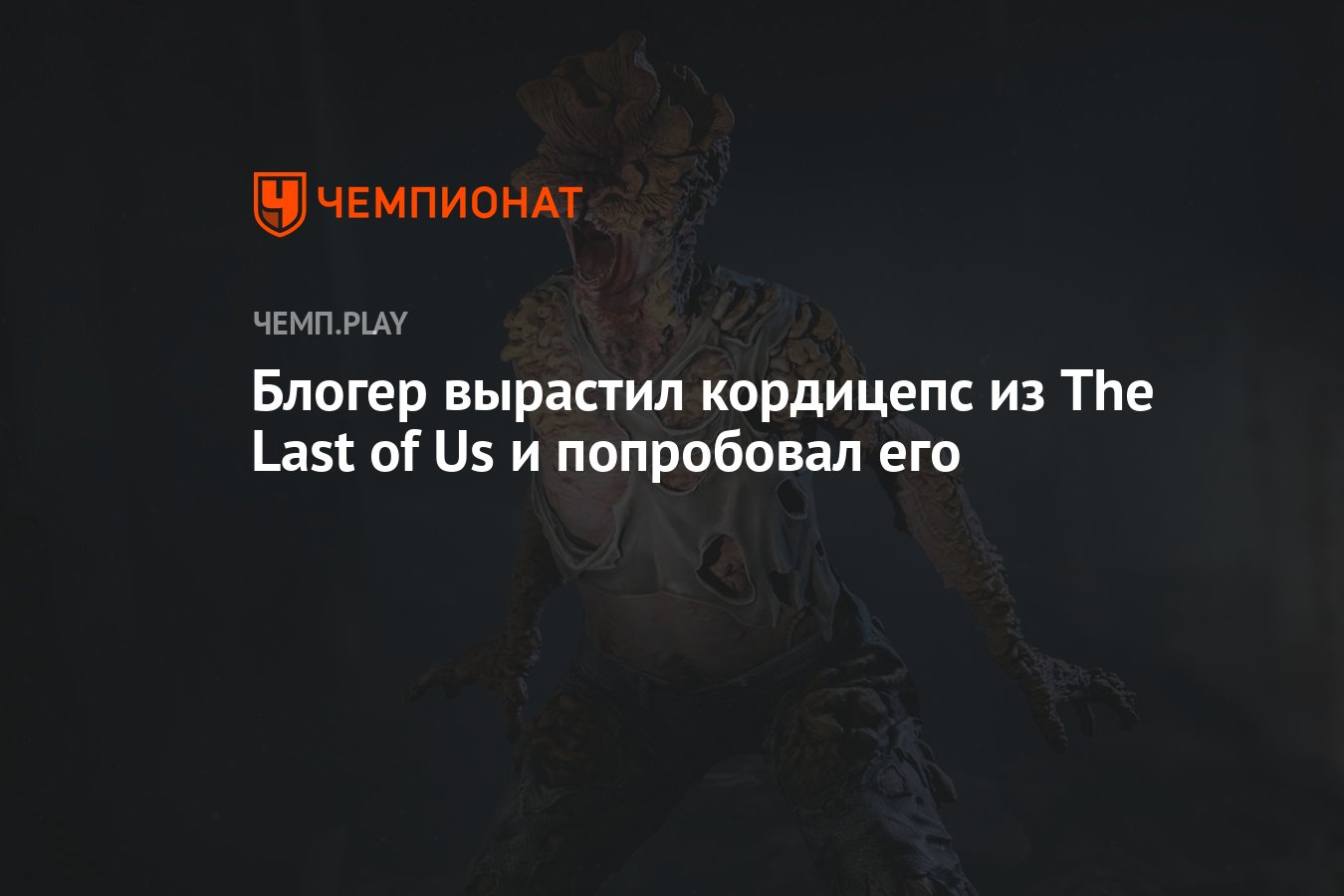 Блогер вырастил кордицепс из The Last of Us и попробовал его - Чемпионат