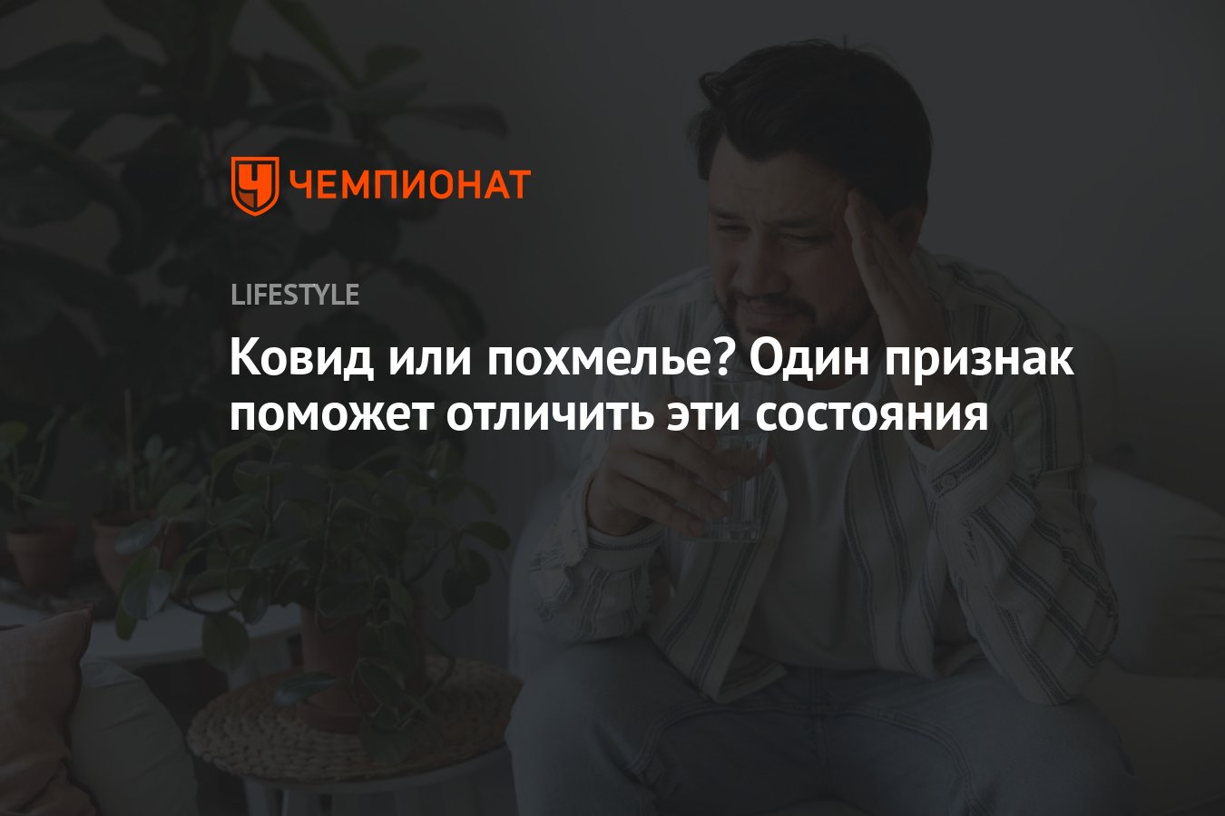 Ковид или похмелье? Один признак поможет отличить эти состояния - Чемпионат