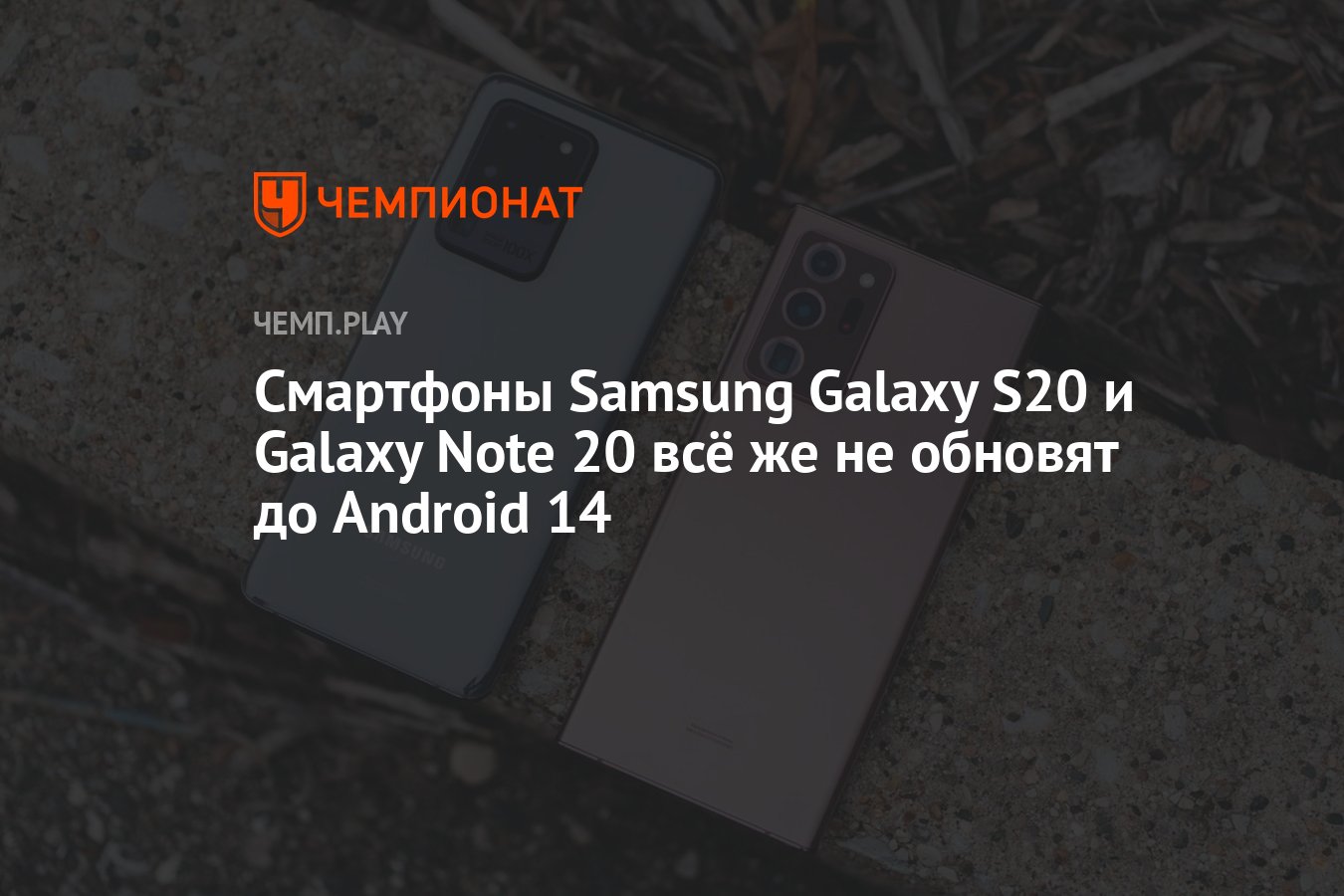 Смартфоны Samsung Galaxy S20 и Galaxy Note 20 всё же не обновят до Android  14 - Чемпионат