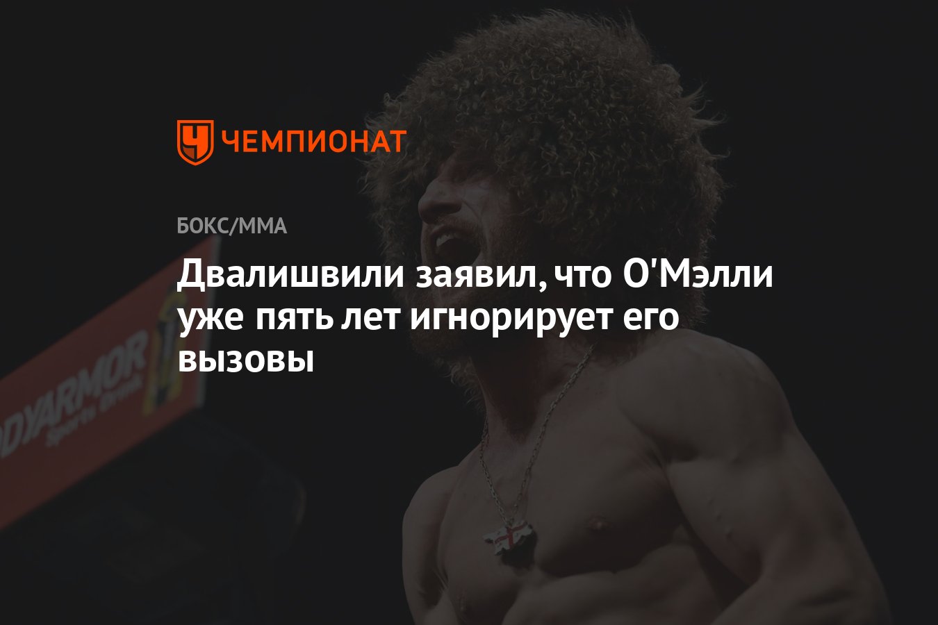 О мэлли двалишвили результат. О мэлли двалишвили результат