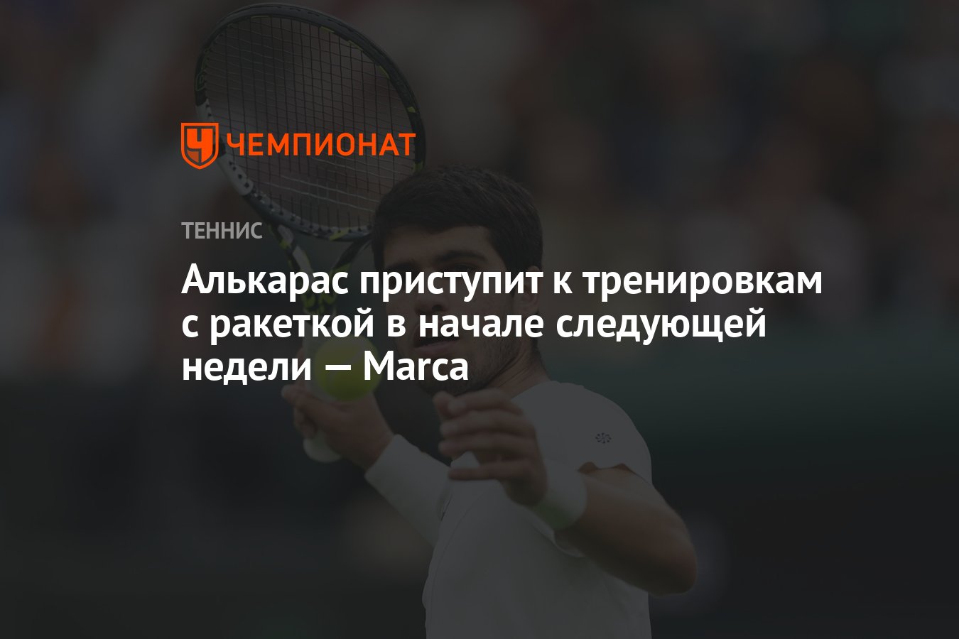 Алькарас приступит к тренировкам с ракеткой в начале следующей недели —  Marca - Чемпионат