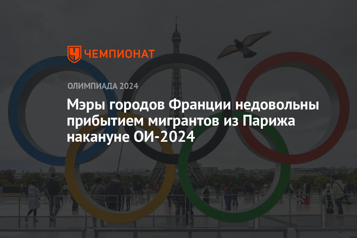 Мэры городов Франции недовольны прибытием мигрантов из Парижа накануне  ОИ-2024 - Чемпионат