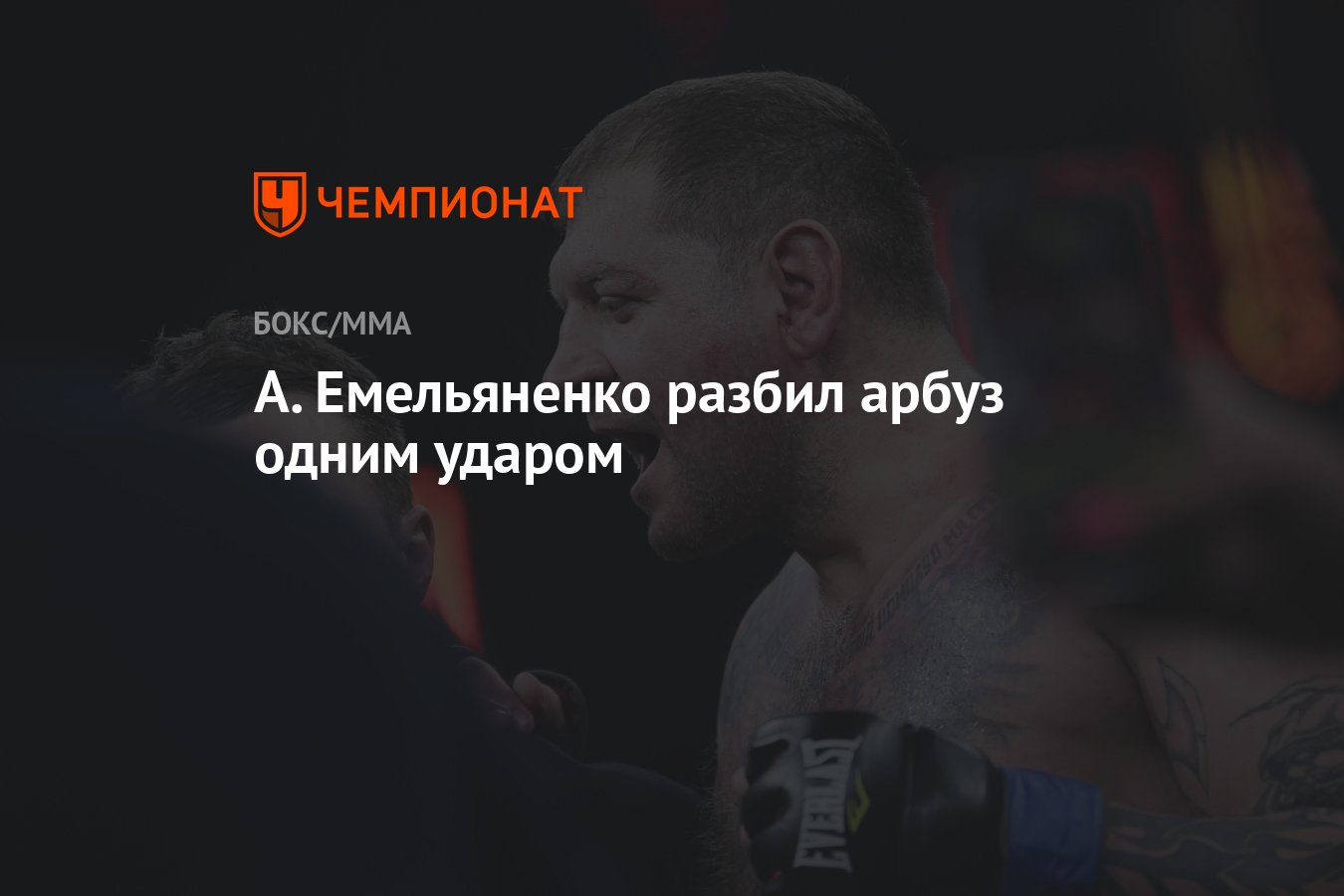 Этот любитель бокса с одного удара ляжет