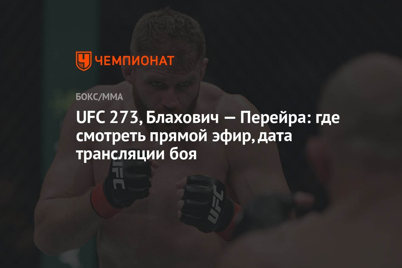 Боец тв прямая трансляция ufc 308