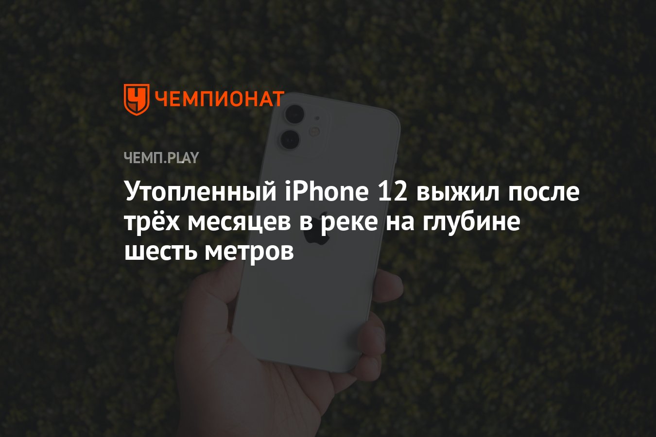 Утопленный iPhone 12 выжил после трёх месяцев в реке на глубине шесть  метров - Чемпионат