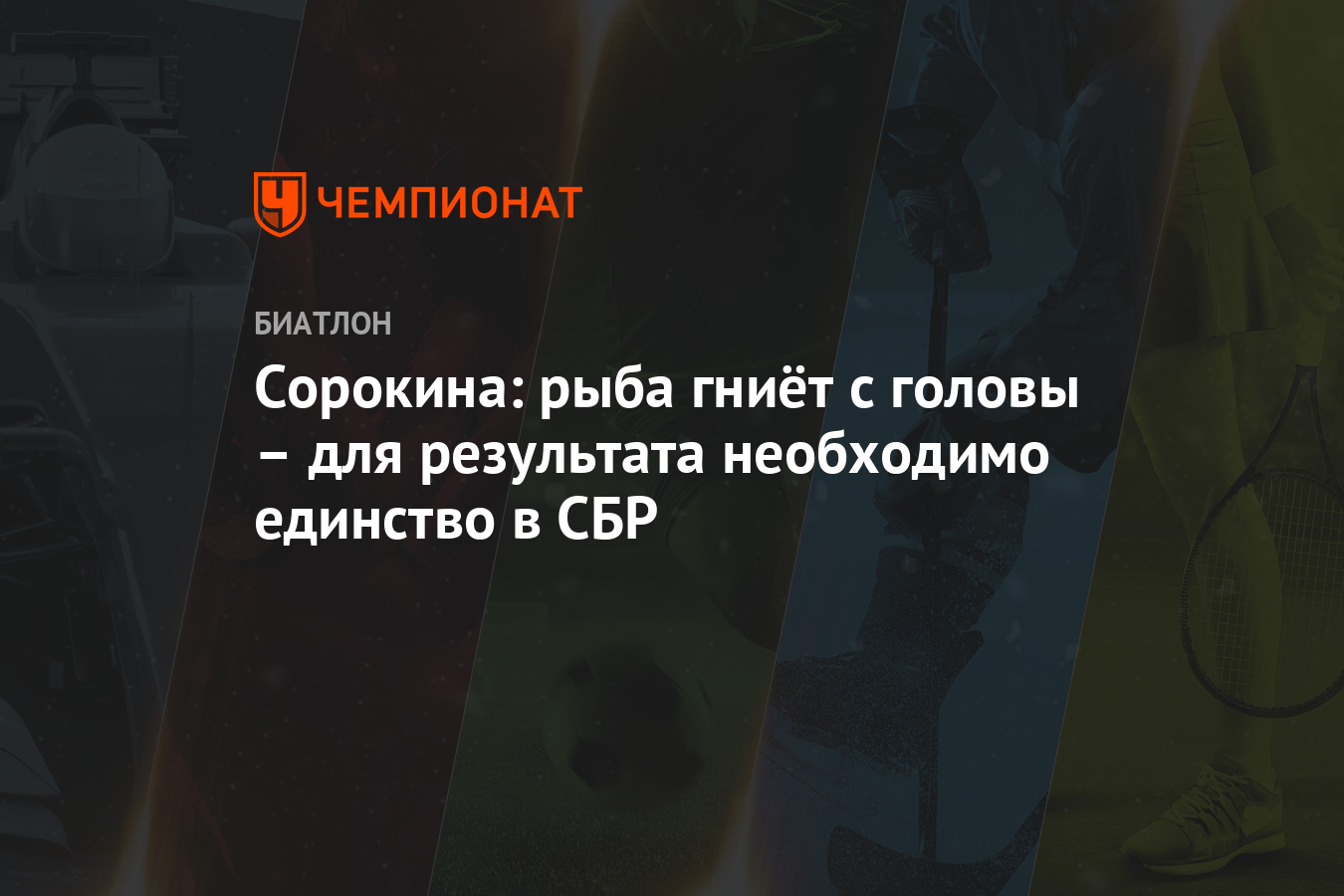 Рыба Гниет С Головы Фото