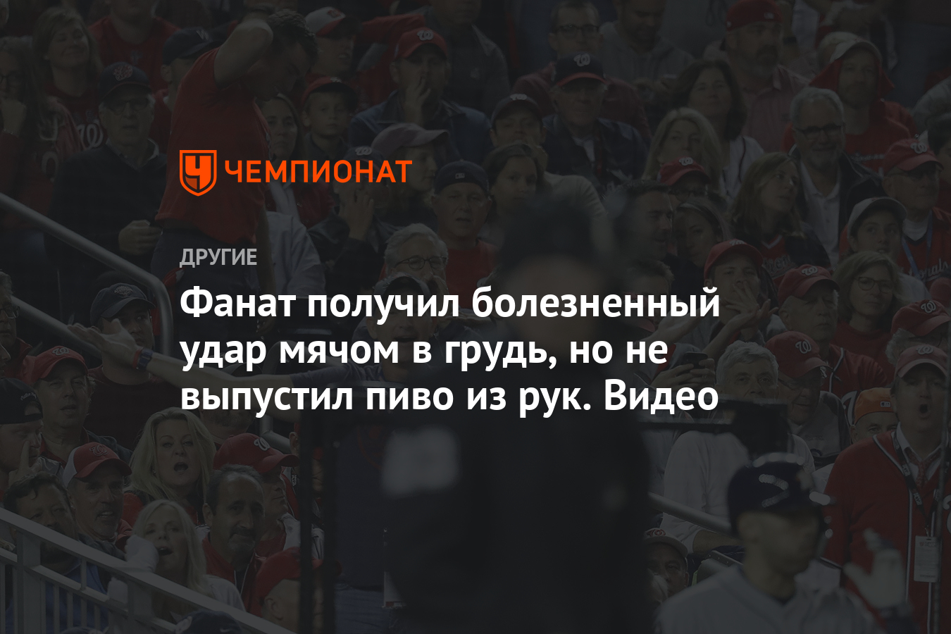 Фанат получил болезненный удар мячом в грудь, но не выпустил пиво из рук.  Видео - Чемпионат